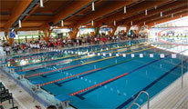Campionati Italiani Assoluti Estivi di Nuoto Paralimpico 2019